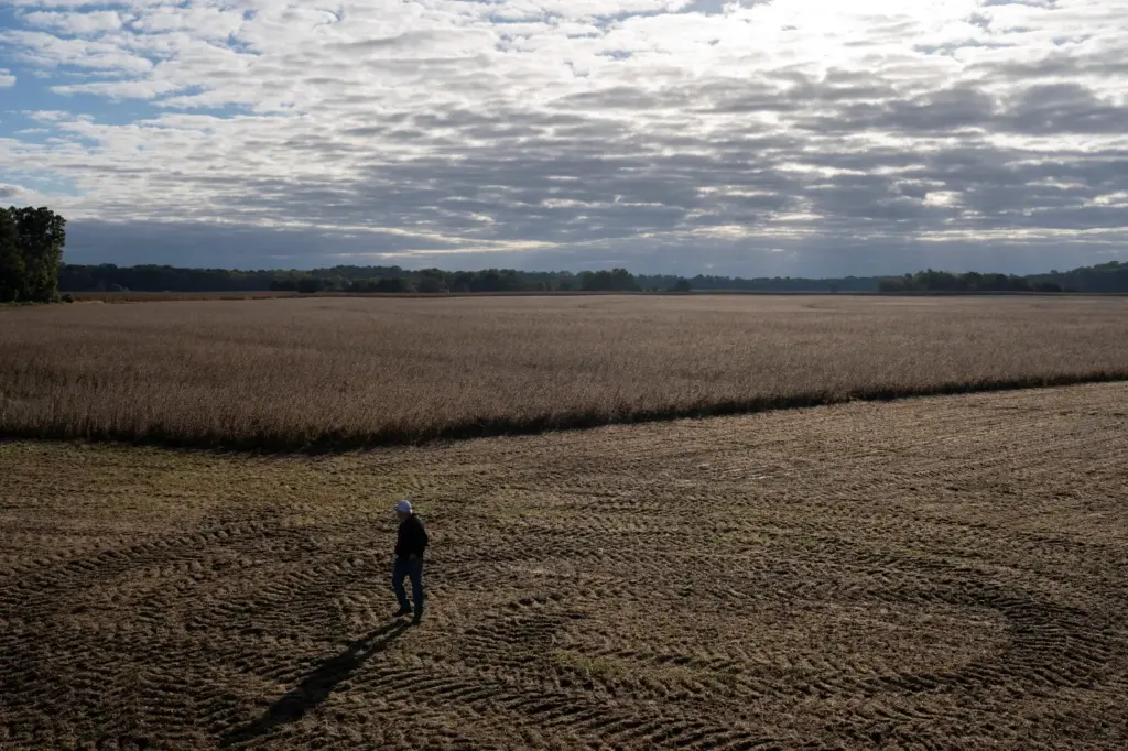 Farmer Travis Hutchison walks near a soybean field on one of his family's farms in Cordova, Maryland, on October 10, 2025.