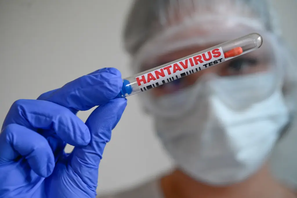 Stock Image: A person wearing protective gear handles a test tube labeled