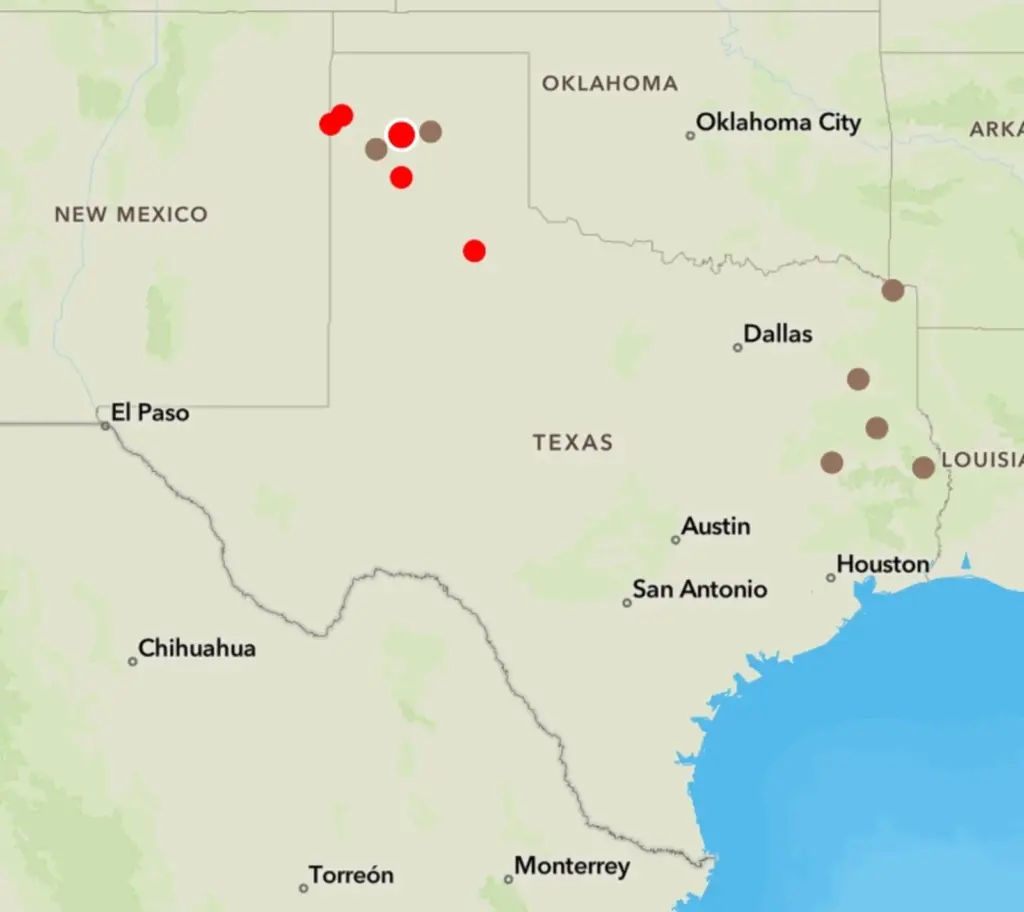 A map from the Texas A&M Forest Service shows active wildfires, depicted in red, and contained fires, depicted in brown, as of Friday.